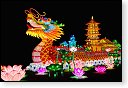 china light licht festival lichtshow show festiviteit glow evenement event chinees chinese verlichting draak dragon lichtfestival zoo
